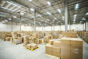 发网浦东二仓 构建全国电商仓储配送核心，引领仓配外包新纪元