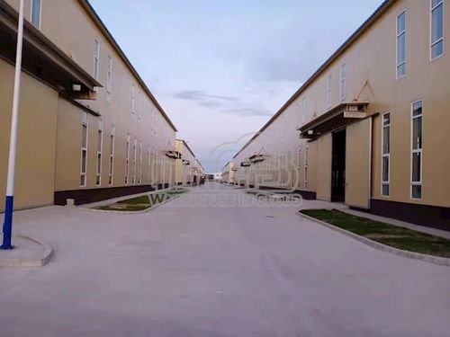 物联云仓赋能张北仓储新生态 云库成仓开启智慧仓储新篇章